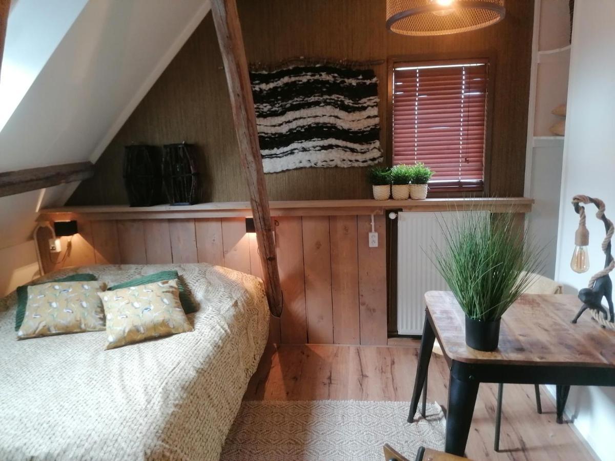 Logement Doosje Warfstermolen Kültér fotó